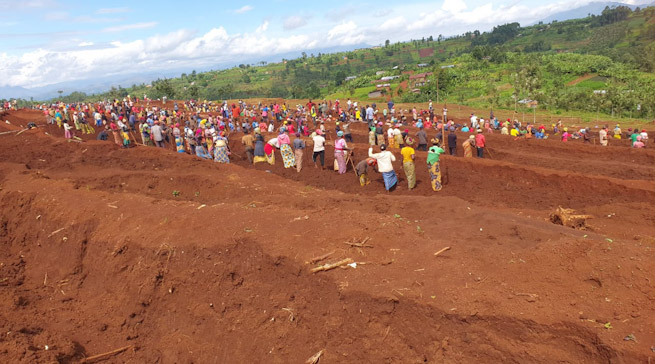 Rusizi: Mu isambu imwe habonetse imibiri irenga 500 y’abazize Jenocide yakorewe abatutsi