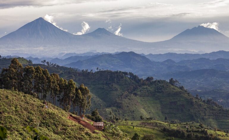 BARAKEKA KO IBIRUNGA BYO MU RWANDA BISHOBORA KONGERA KURUKA