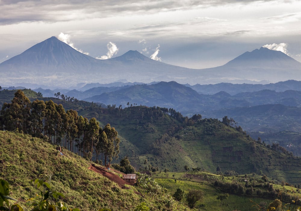 BARAKEKA KO IBIRUNGA BYO MU RWANDA BISHOBORA KONGERA KURUKA